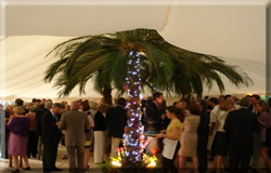 DJ Jason Dupuy providing the Disco and DJing at a Wedding in Cobham, Surrey