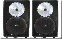Cerwin Vega V152 - Powerful PA Speakers